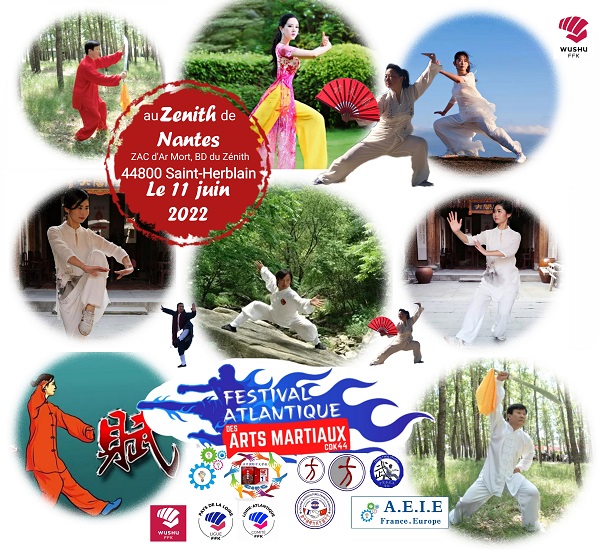 festival Atlantique des arts martiaux Le 11 Juin 2022 